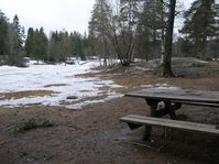 naturelandscapes00006.jpg