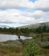naturelandscapes00007.jpg